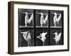 Dancing Woman, Plate 187 from 'Animal Locomotion', 1887 (B/W Photo)-Eadweard Muybridge-Framed Giclee Print