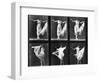 Dancing Woman, Plate 187 from 'Animal Locomotion', 1887 (B/W Photo)-Eadweard Muybridge-Framed Premium Giclee Print