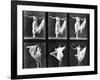 Dancing Woman, Plate 187 from 'Animal Locomotion', 1887 (B/W Photo)-Eadweard Muybridge-Framed Giclee Print