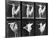 Dancing Woman, Plate 187 from 'Animal Locomotion', 1887 (B/W Photo)-Eadweard Muybridge-Mounted Giclee Print