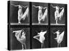 Dancing Woman, Plate 187 from 'Animal Locomotion', 1887 (B/W Photo)-Eadweard Muybridge-Stretched Canvas