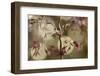 Dancing-Heidi Westum-Framed Photographic Print