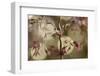 Dancing-Heidi Westum-Framed Photographic Print