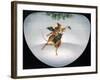 Dancing-Peggy Harris-Framed Giclee Print