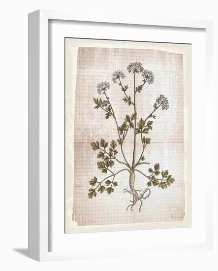 Dandelion 1-Lula Bijoux-Framed Art Print