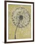 Dandelion Abstract I-Tim OToole-Framed Art Print