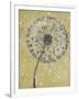 Dandelion Abstract I-Tim OToole-Framed Art Print