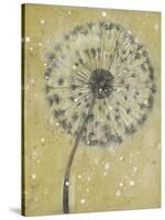 Dandelion Abstract I-Tim OToole-Stretched Canvas