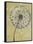 Dandelion Abstract I-Tim OToole-Framed Stretched Canvas