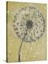 Dandelion Abstract I-Tim OToole-Stretched Canvas