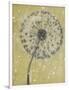 Dandelion Abstract I-Tim OToole-Framed Art Print