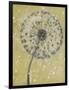 Dandelion Abstract I-Tim OToole-Framed Art Print