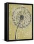 Dandelion Abstract I-Tim OToole-Framed Stretched Canvas