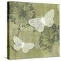 Dandelion and Wings II-Jennifer Goldberger-Stretched Canvas