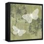 Dandelion and Wings II-Jennifer Goldberger-Framed Stretched Canvas