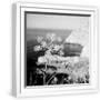 White Frame