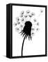 Dandelion Black And White-falonkoontz-Framed Stretched Canvas