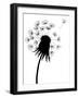 Dandelion Black And White-falonkoontz-Framed Art Print