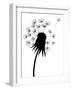 Dandelion Black And White-falonkoontz-Framed Art Print