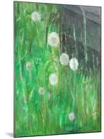 Dandelion Clocks in Grass, 2008-Ruth Addinall-Mounted Giclee Print