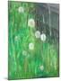 Dandelion Clocks in Grass, 2008-Ruth Addinall-Mounted Giclee Print