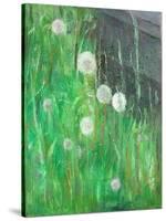 Dandelion Clocks in Grass, 2008-Ruth Addinall-Stretched Canvas