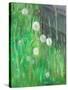 Dandelion Clocks in Grass, 2008-Ruth Addinall-Stretched Canvas