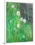 Dandelion Clocks in Grass, 2008-Ruth Addinall-Framed Giclee Print