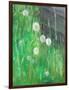 Dandelion Clocks in Grass, 2008-Ruth Addinall-Framed Giclee Print