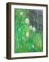 Dandelion Clocks in Grass, 2008-Ruth Addinall-Framed Giclee Print