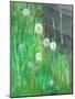 Dandelion Clocks in Grass, 2008-Ruth Addinall-Mounted Giclee Print