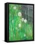 Dandelion Clocks in Grass, 2008-Ruth Addinall-Framed Stretched Canvas