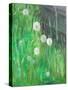 Dandelion Clocks in Grass, 2008-Ruth Addinall-Stretched Canvas