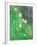 Dandelion Clocks in Grass, 2008-Ruth Addinall-Framed Giclee Print