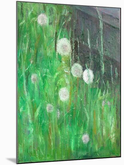 Dandelion Clocks in Grass, 2008-Ruth Addinall-Mounted Giclee Print