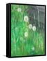 Dandelion Clocks in Grass, 2008-Ruth Addinall-Framed Stretched Canvas