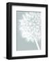 Dandelion Crop (blue)-Jenny Kraft-Framed Art Print