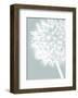 Dandelion Crop (blue)-Jenny Kraft-Framed Art Print