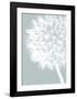 Dandelion Crop (blue)-Jenny Kraft-Framed Art Print