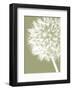 Dandelion Crop (khaki)-Jenny Kraft-Framed Art Print