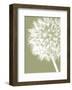 Dandelion Crop (khaki)-Jenny Kraft-Framed Art Print