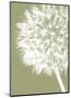 Dandelion Crop (khaki)-Jenny Kraft-Mounted Art Print