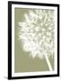 Dandelion Crop (khaki)-Jenny Kraft-Framed Art Print