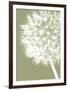 Dandelion Crop (khaki)-Jenny Kraft-Framed Art Print