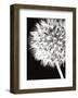 Dandelion Crop-Jenny Kraft-Framed Art Print