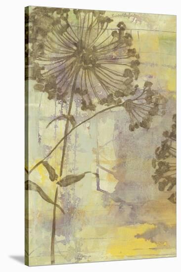 Dandelion Dance I-Jennifer Goldberger-Stretched Canvas