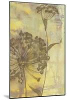 Dandelion Dance II-Jennifer Goldberger-Mounted Art Print