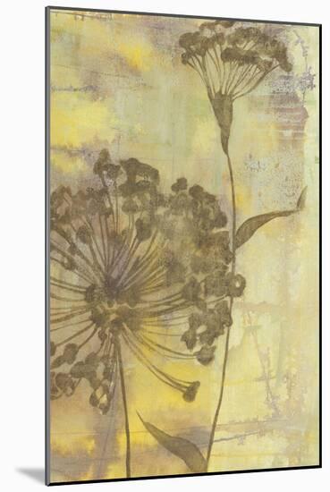 Dandelion Dance II-Jennifer Goldberger-Mounted Art Print