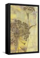 Dandelion Dance II-Jennifer Goldberger-Framed Stretched Canvas