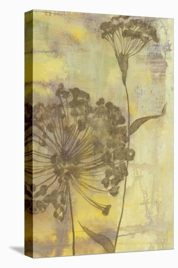 Dandelion Dance II-Jennifer Goldberger-Stretched Canvas